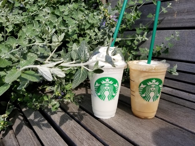 スターバックス コーヒー 天王洲店 天王洲アイル カフェ 食べログ スターバックス コーヒー 天王洲店 天王洲アイル カフェ 食べログ