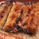 Unagi No Akashi - 