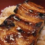 Unagi No Akashi - 