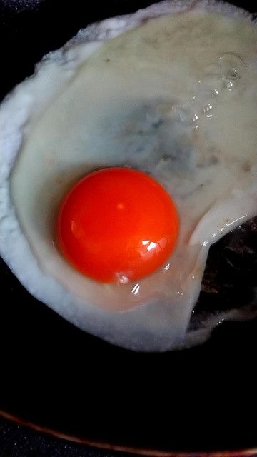 白鳥ファーム - 東白石（その他）の写真