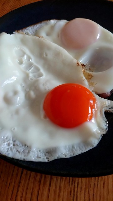 白鳥ファーム - 東白石（その他）の写真