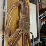 居酒屋ぼんでん - 