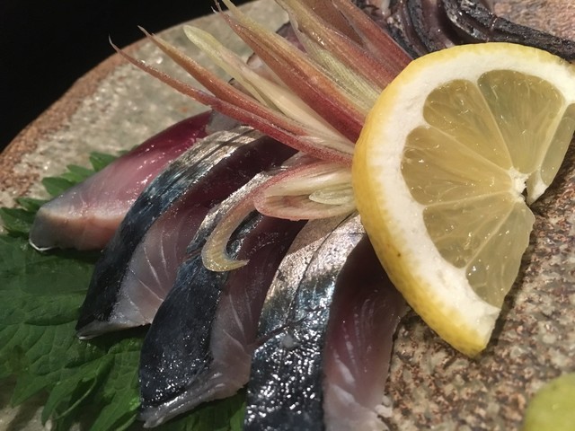 Nihonshu to Nagomi Ryori Aoi photo 3