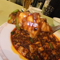 赤坂 四川飯店 - 陳麻婆豆腐のアップ　【　２０１１年１１月　】