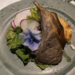 estY - ラム　ドフィノワ