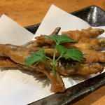 居食屋 わいるどふぁーむ  - 