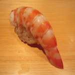鮨 さかい - 車海老