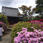 川むら - お隣のお寺の花が綺麗だったなぁ