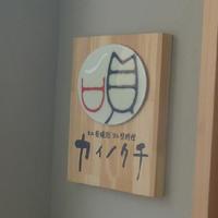 ヒル薬膳粥・ヨル貝料理カイノクチ - 