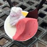 GELATO&CAFFEいざわ苺園 - 
