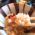 阿寓 - ６：蛸御飯