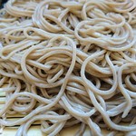 滝沢手打ちそば道場 - 蕎麦のアップ