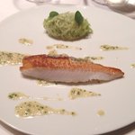 カンテサンス - 