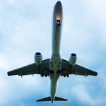 料理屋くおん - 真下からのアングルで撮影w