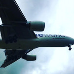 料理屋くおん - でっけぇぇぇ！