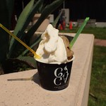 ガガフレッシュジェラート - 