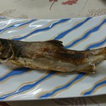 Shiruba Oto Wa - 川の焼き魚