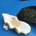 備瀬崎養殖所 - 