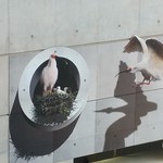 築地銀だこハイボール酒場 - 