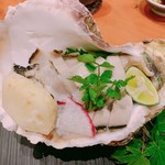 天馬 - 岩ガキ。スダチ醤油に合わせて美味しい！