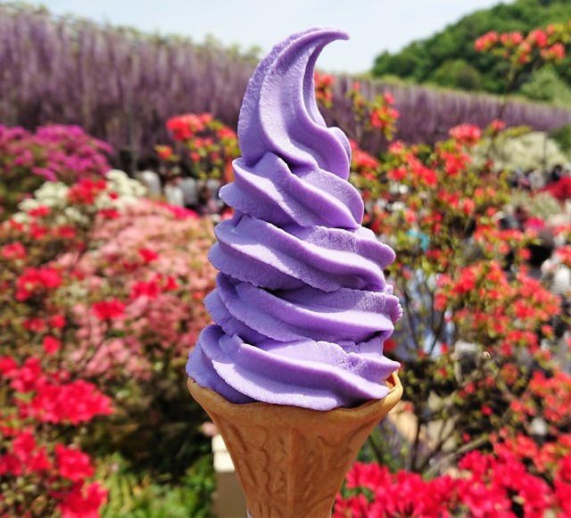 あしかがフラワーパーク西売店 あしかがフラワーパーク その他 食べログ あしかがフラワーパーク西売店 あしかがフラワーパーク その他 食べログ