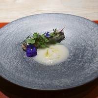 Restaurant COCON (鎌倉古今) - 