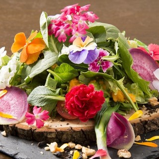 vege&bar シンバル_2