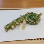 天婦羅 みやしろ - コゴミ