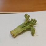 天婦羅 みやしろ - タラの芽