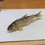 天婦羅 みやしろ - 琵琶湖の稚鮎