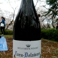 W Yokohama The Wine Hall - 