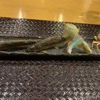 馳走菴 ひじり - 