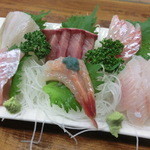 新潟本町 鈴木鮮魚 - 新潟の冬の刺身６種盛り。