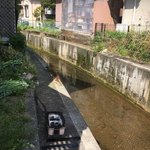 黒崎屋 - 横が運河へ続く大きなドブなんで、方付けも簡単。
      
      炭はココで焼ききる。
      
      朝は鴨がガァガァうるさい。
      
      可愛いけど。
      
      
      