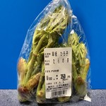 農産物直売所 とざわ農楽市 - またしても「タラの芽」をゲット！！