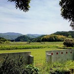 サウスロード - パーゴラからの風景