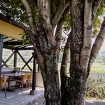 サウスロード - テラス席