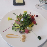 レストラン・モリエール - 定番のサラダ　いろいろなソースとともに