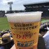 阪神甲子園球場