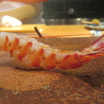 天寿し - 痙攣が見られる日もある熱を通した車海老