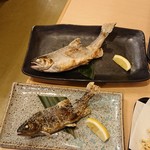 Nantai - メインの魚