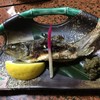 崖の湯 薬師平茜宿