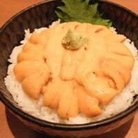 函館うに むらかみ 日本生命札幌ビル店 - 生うに丼