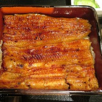 うなぎ 目白ぞろ芽 - うな重上　3800円