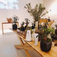 ENEKO Tokyo - 