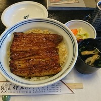 鰻割烹 伊豆栄 本店 - うな丼（竹）