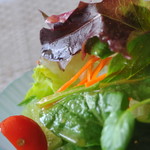 ビストロ セレニテ - 