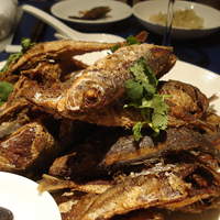 中国薬膳料理 星福 - 