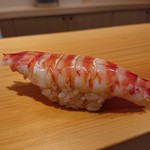 鮨 あらい - 車海老