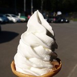 키타신슈무라 소프트크림 사카에